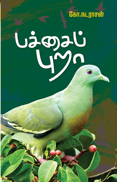 பச்சைப் புறா